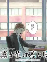 国风新声音乐综艺